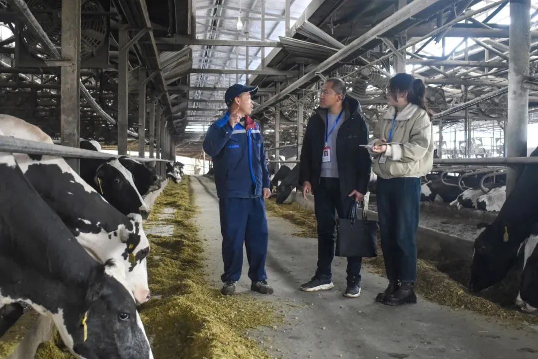 聚焦全會•學習貫徹丨南平：一以貫之推進全面從嚴治黨 爲奮力推進 中國式現代化南平實踐清障護航