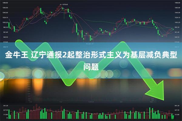 金牛王 辽宁通报2起整治形式主义为基层减负典型问题