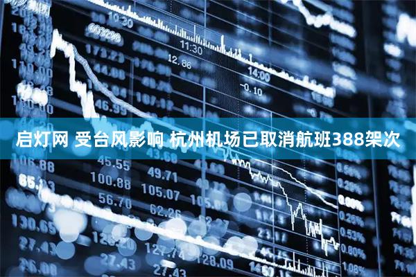 启灯网 受台风影响 杭州机场已取消航班388架次